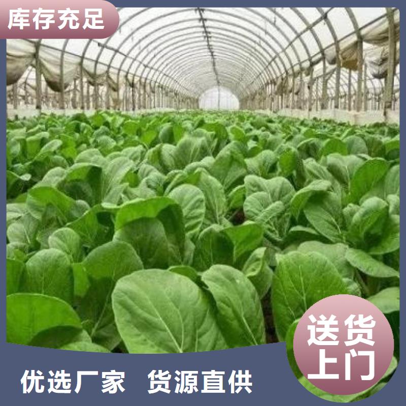 鸡粪有机肥改良土壤效果很好
