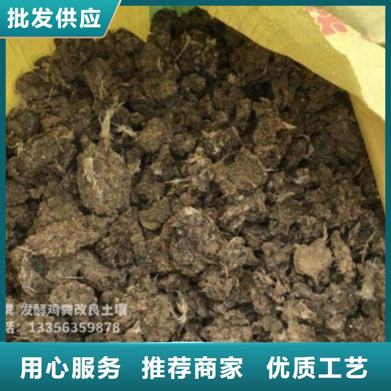 晒干鸡粪生态园土壤肥沃