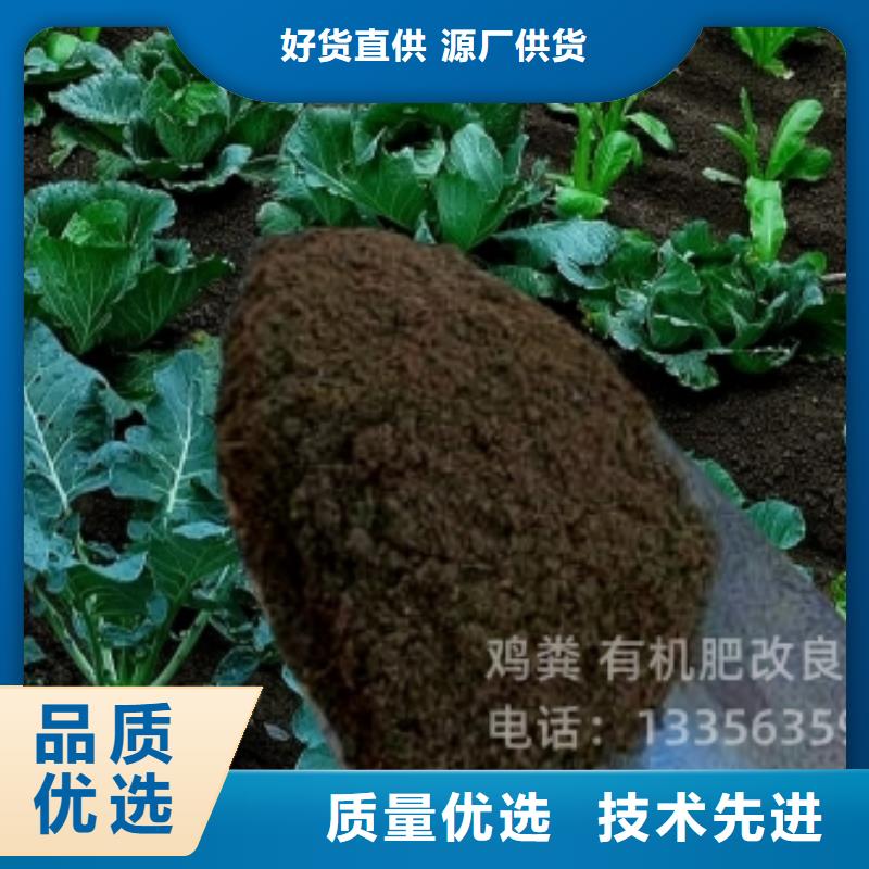 肥水鸡粪肥效真的不错