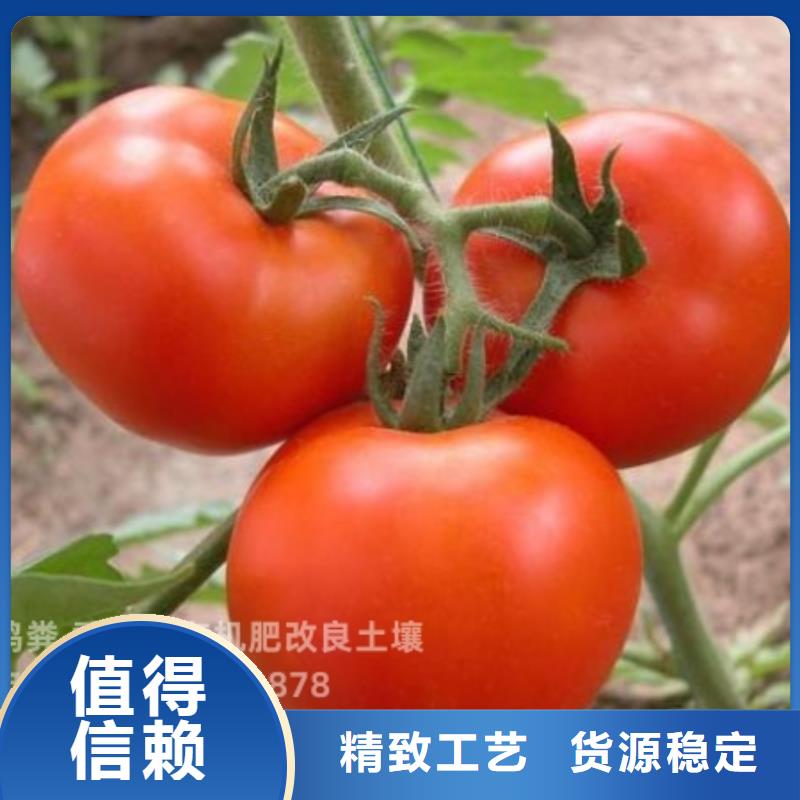 晒干鸡粪生态园土壤肥沃