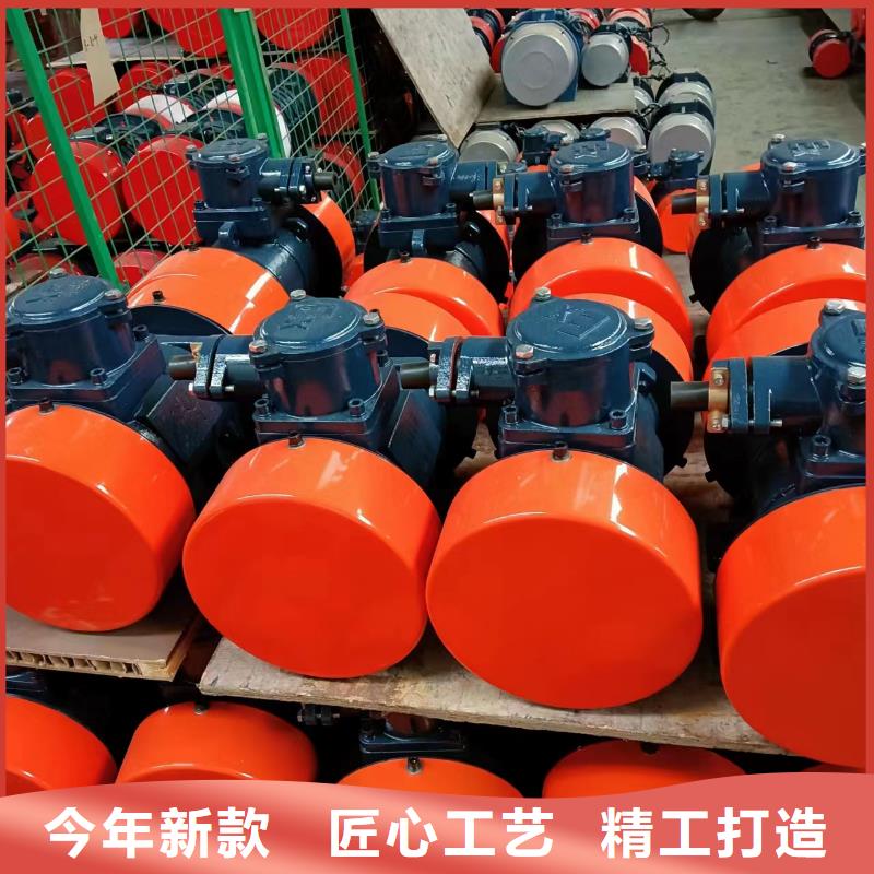 防爆振动电机快捷的物流配送