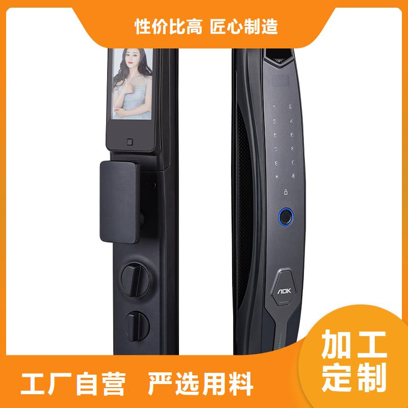 智能锁【人脸识别智能锁】现货直发