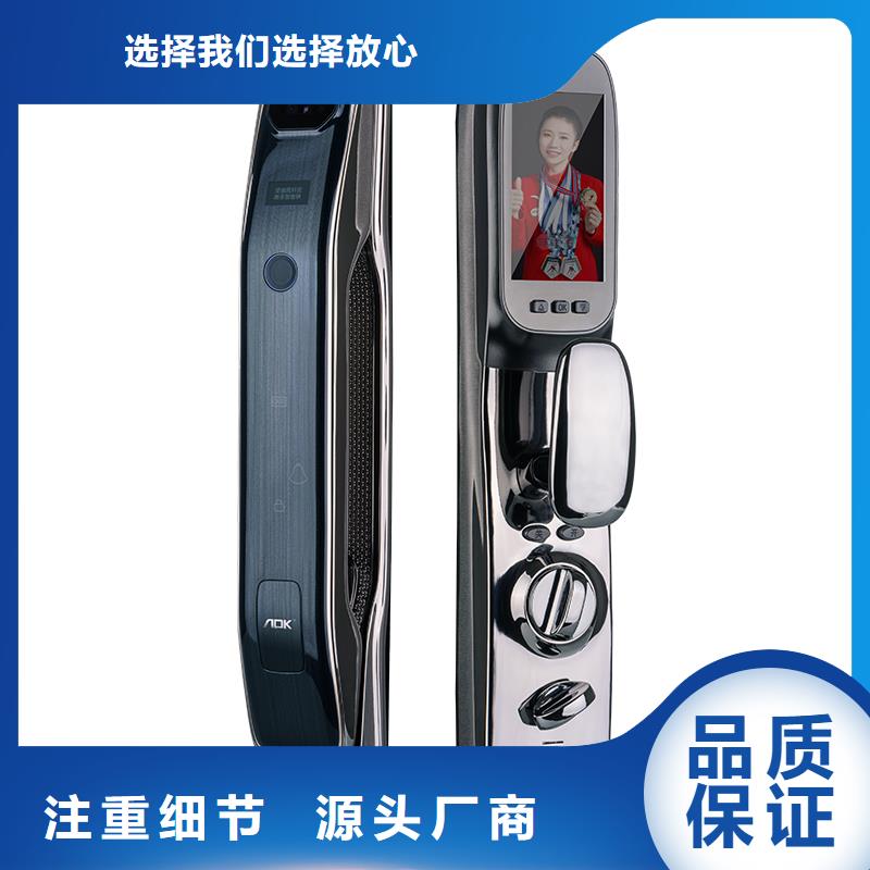 智能锁【人脸识别智能锁】现货直发