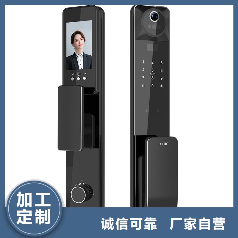 智能锁【人脸识别智能锁】现货直发