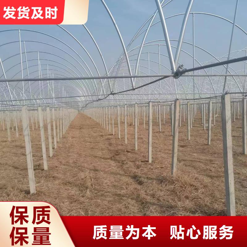 温室大棚热镀锌螺旋地桩经销商