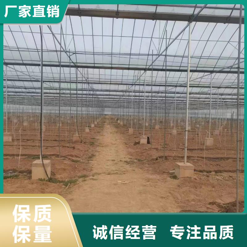 温室大棚温室大棚滴灌设备品质无所畏惧