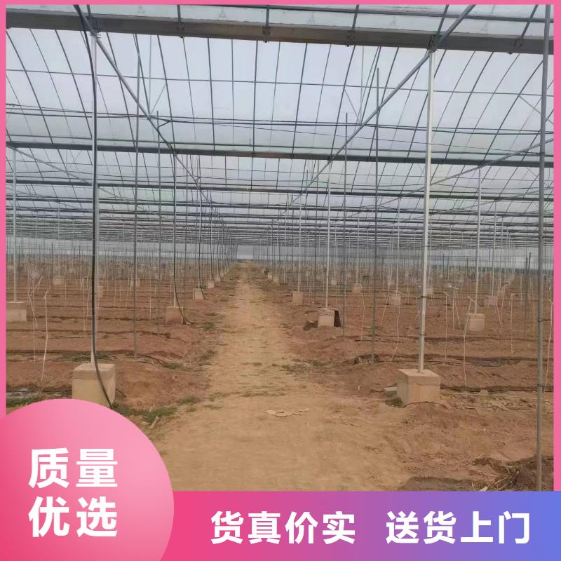 温室大棚,锌铝镁光伏支架工厂自营
