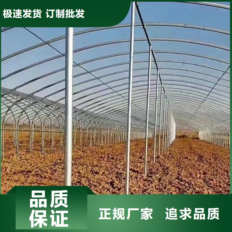 温室大棚,锌铝镁光伏支架工厂自营