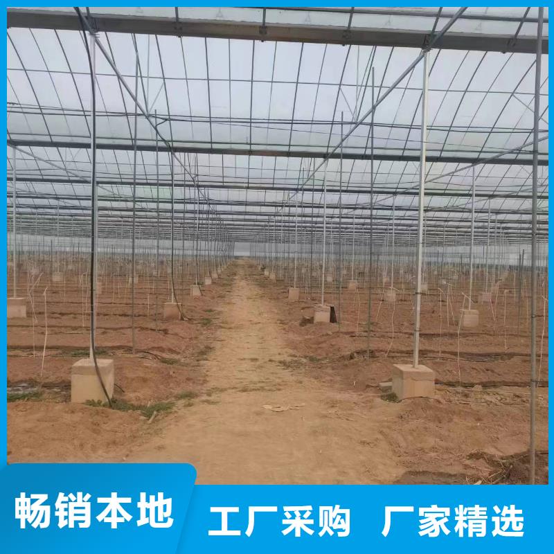 温室大棚方矩管性能稳定