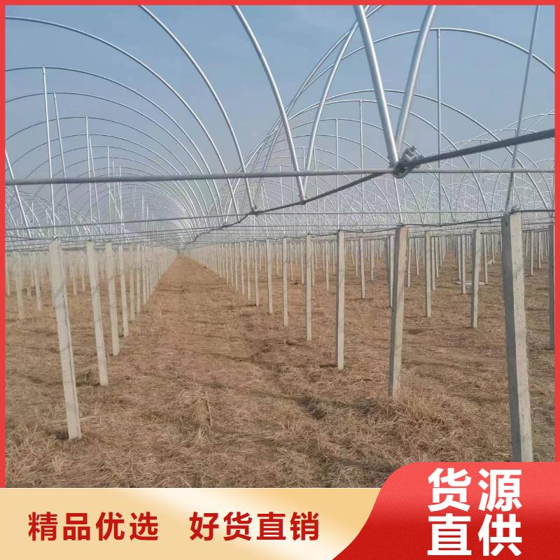 温室大棚方矩管性能稳定