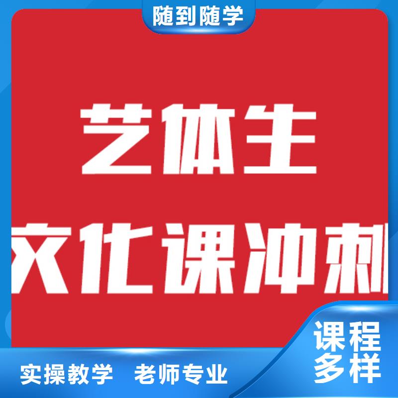 艺考文化课高考全日制师资力量强