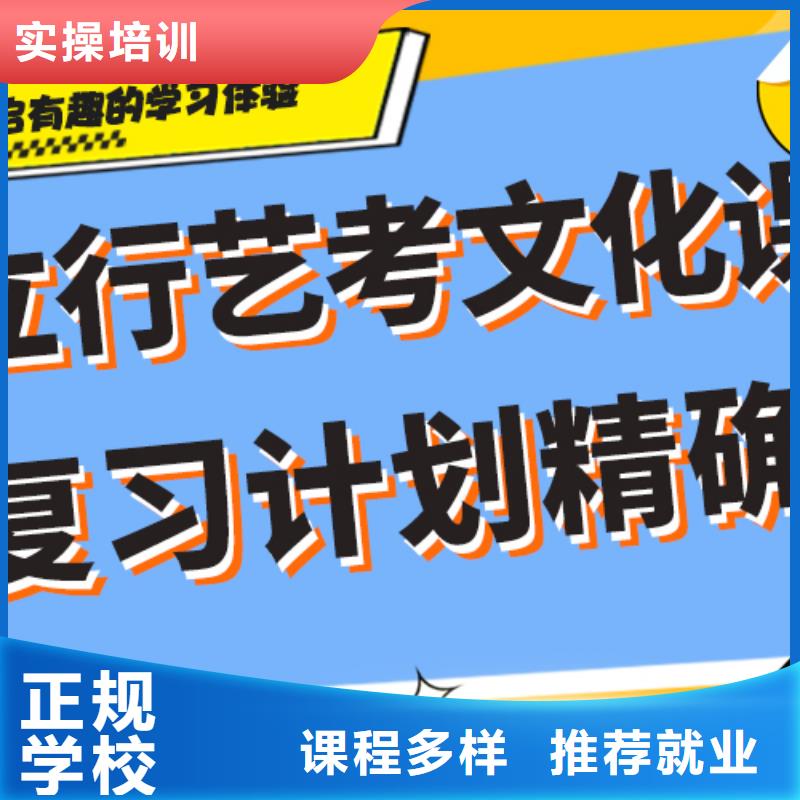 艺考文化课【舞蹈艺考培训】学真技术