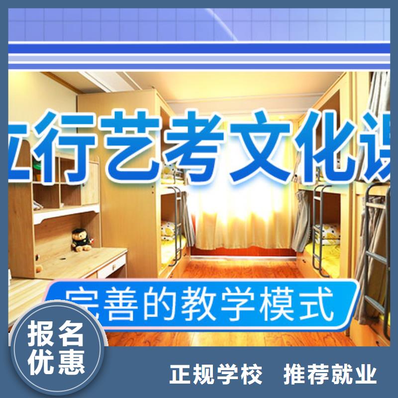 艺考文化课【舞蹈艺考培训】学真技术