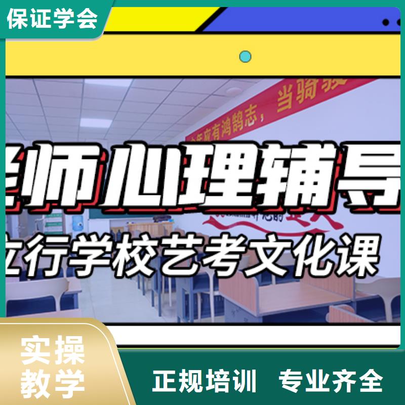 艺考文化课【舞蹈艺考培训】学真技术