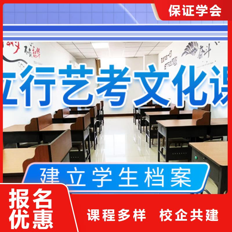 艺考生文化课冲刺,高考复读周日班老师专业