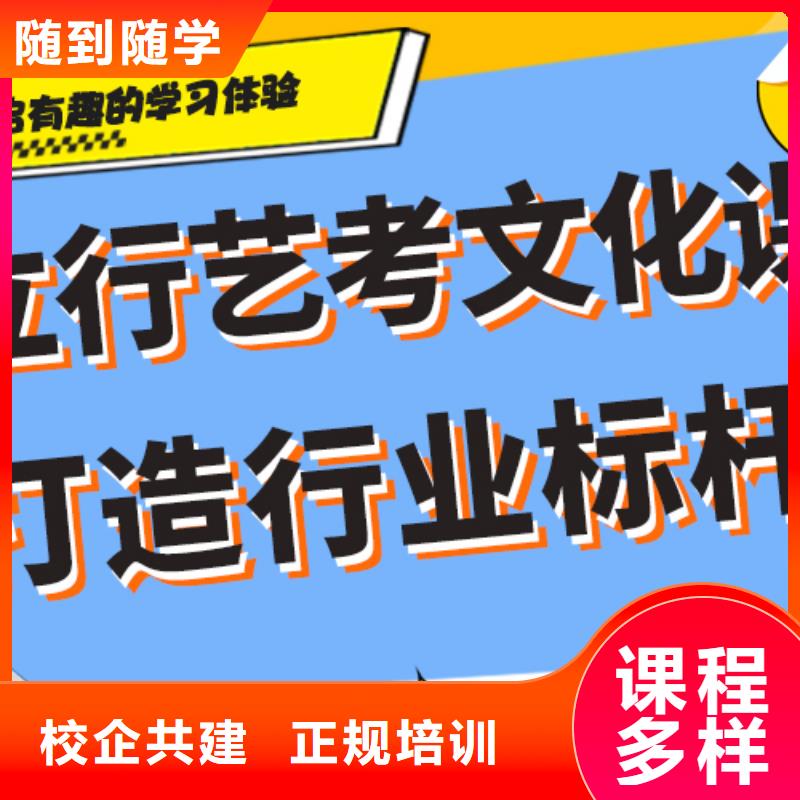 艺考文化课集训艺考培训机构手把手教学