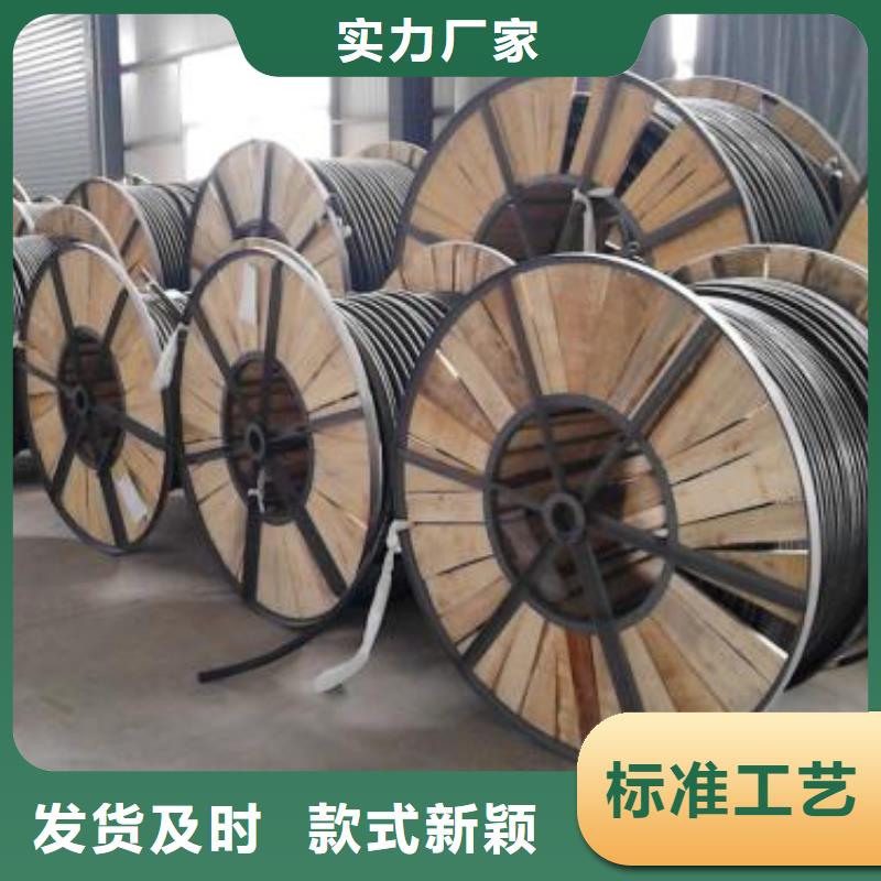 【 电线电缆DJYVP电缆实拍展现】-电缆总厂分厂(玉溪市分公司)