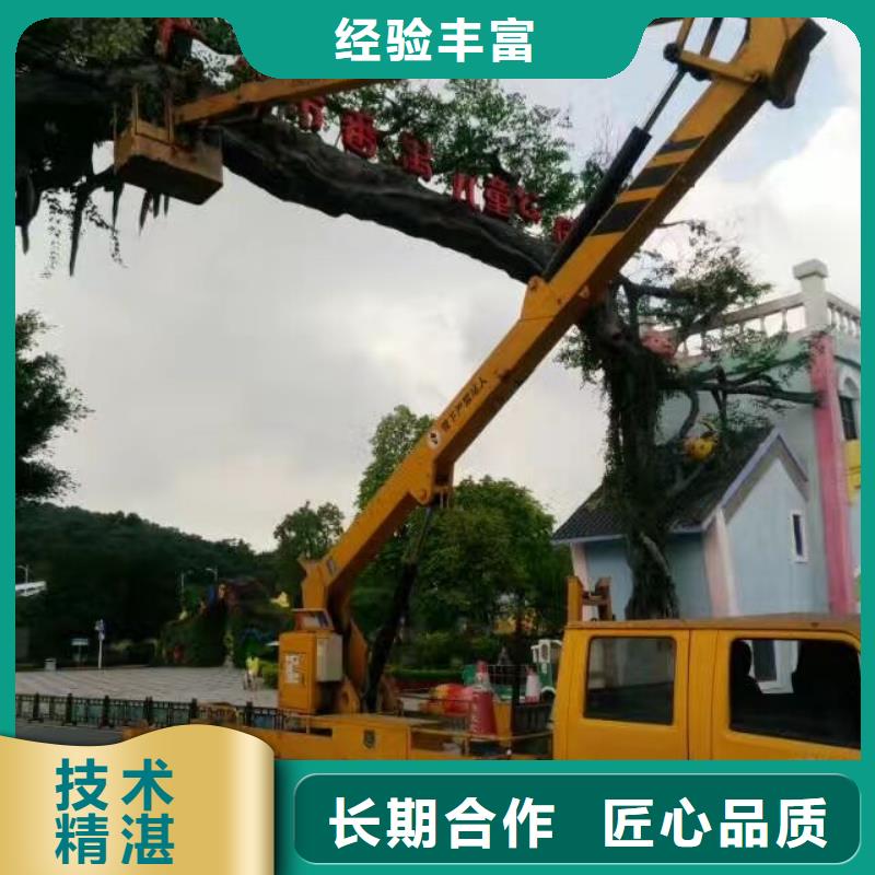 出租升高车视频-出租升高车-湖北省恩施市巴东|宣恩|宜昌|荆州|鄂州|十堰附近生产商
