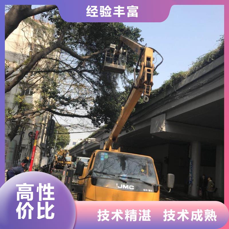 出租升高车视频-出租升高车-湖北省恩施市巴东|宣恩|宜昌|荆州|鄂州|十堰附近生产商