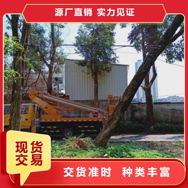 【 云梯车租赁细节展示】-可发货到青原|吉州|新余|赣州|萍乡|景德镇