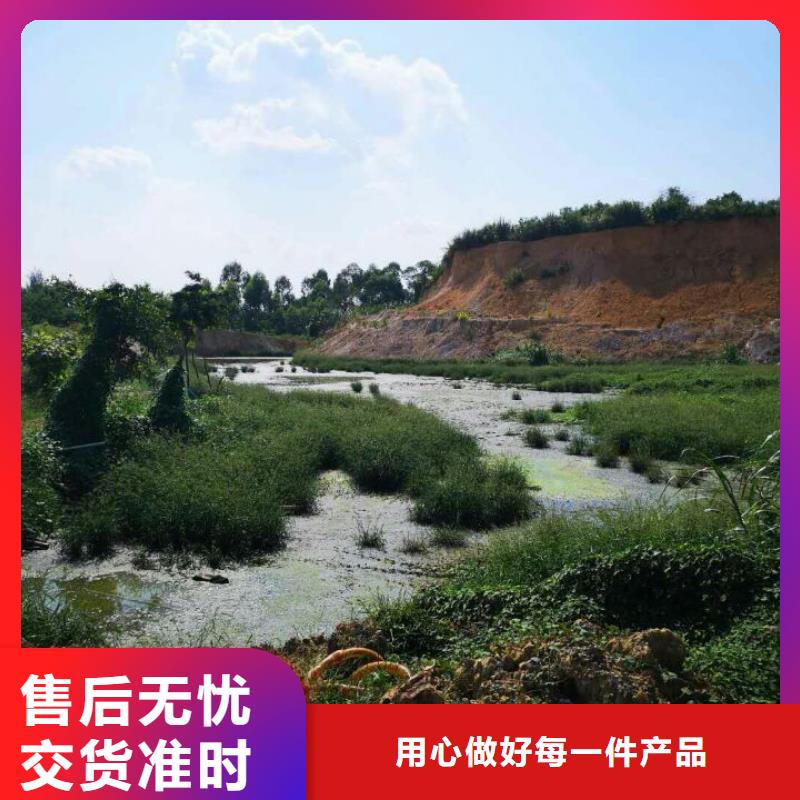 土壤固化剂视频-土壤固化剂|江西省南昌市|青云谱|安义|新余|萍乡|抚州|吉安|上饶|九江