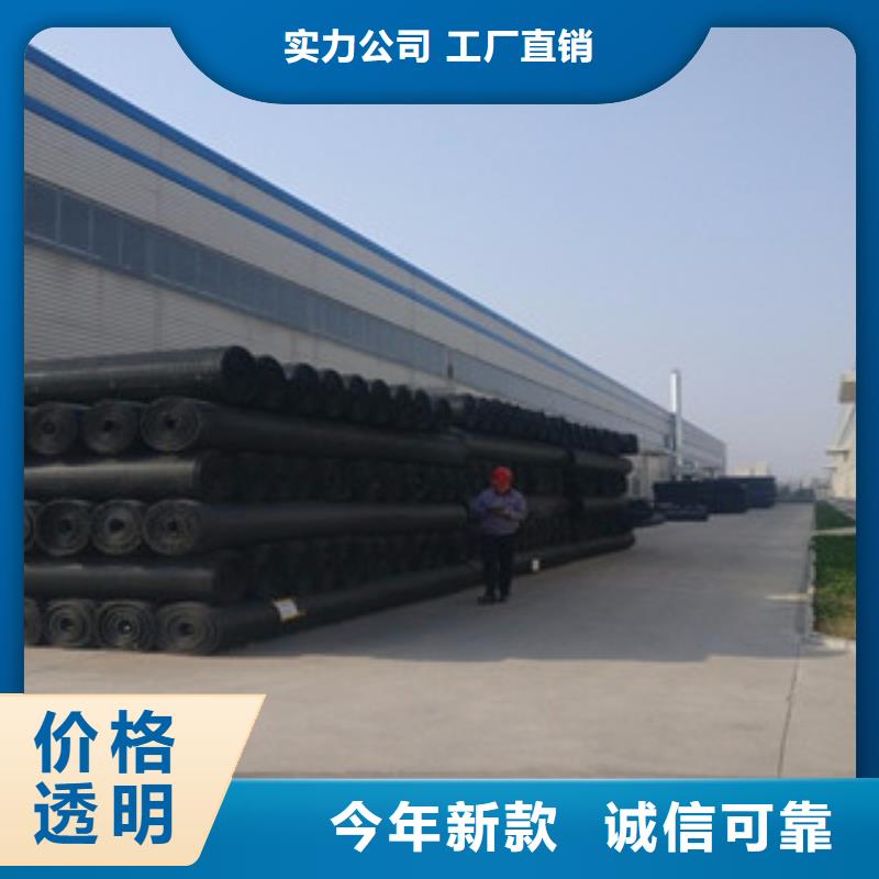 双向塑料格栅膨润土防水毯定制速度快工期短