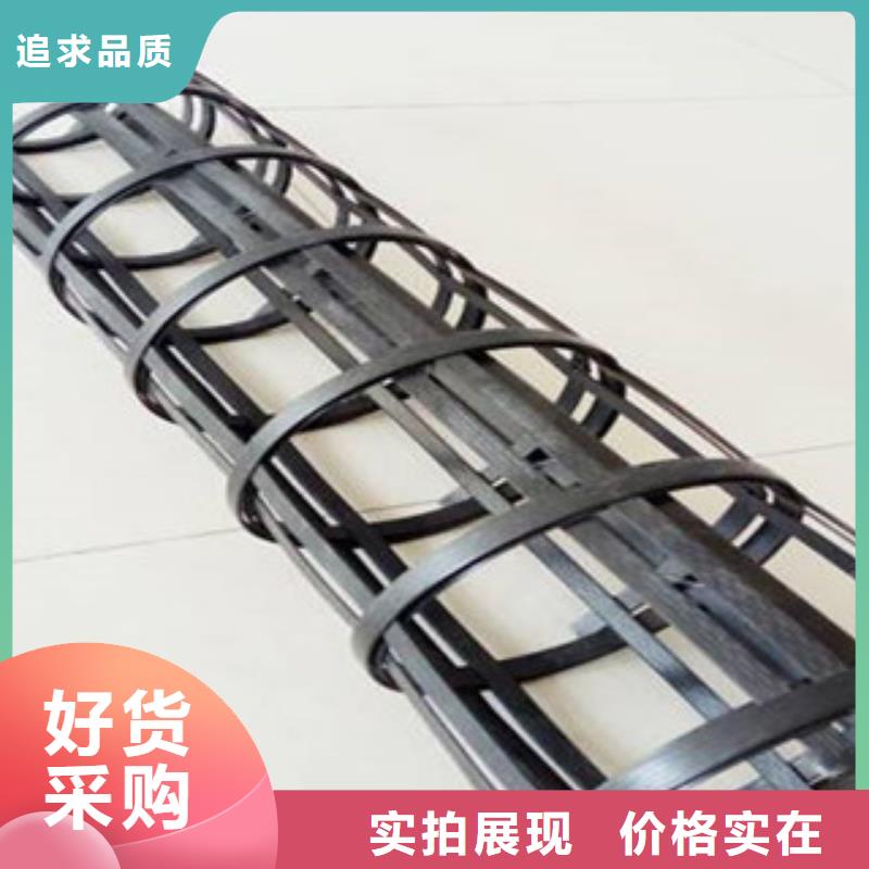 【 钢塑土工格栅_塑料排水板来电咨询】_路德土工格栅生产厂家(内江市分公司)