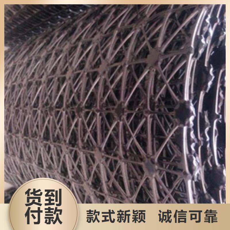 【 钢塑土工格栅_塑料排水板来电咨询】_路德土工格栅生产厂家(内江市分公司)