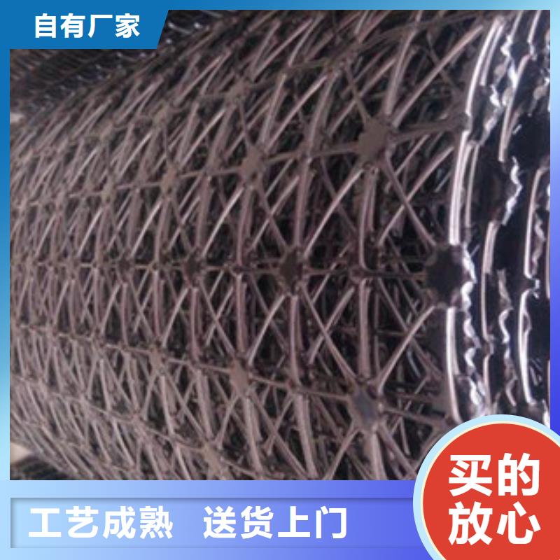 钢塑土工格栅源头厂源头货