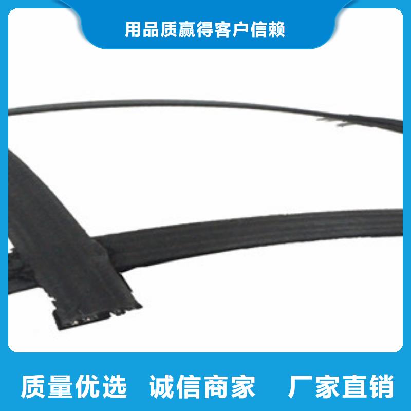 【 钢塑土工格栅_塑料排水板来电咨询】_路德土工格栅生产厂家(内江市分公司)