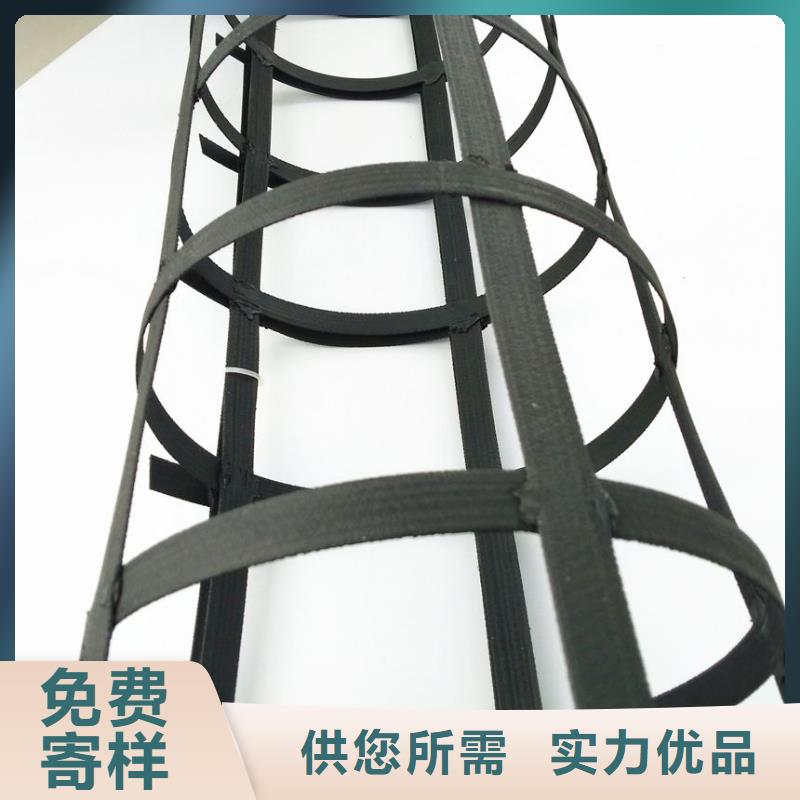 钢塑土工格栅源头厂源头货