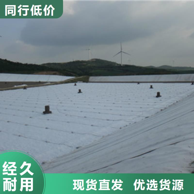 |上高|万载|新余|赣州|南昌|吉安|萍乡|上饶土工布 【塑料土工格栅】品质优良-路德
