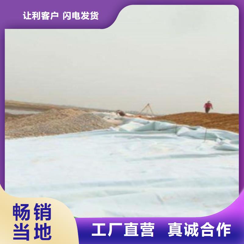 |上高|万载|新余|赣州|南昌|吉安|萍乡|上饶土工布 【塑料土工格栅】品质优良-路德