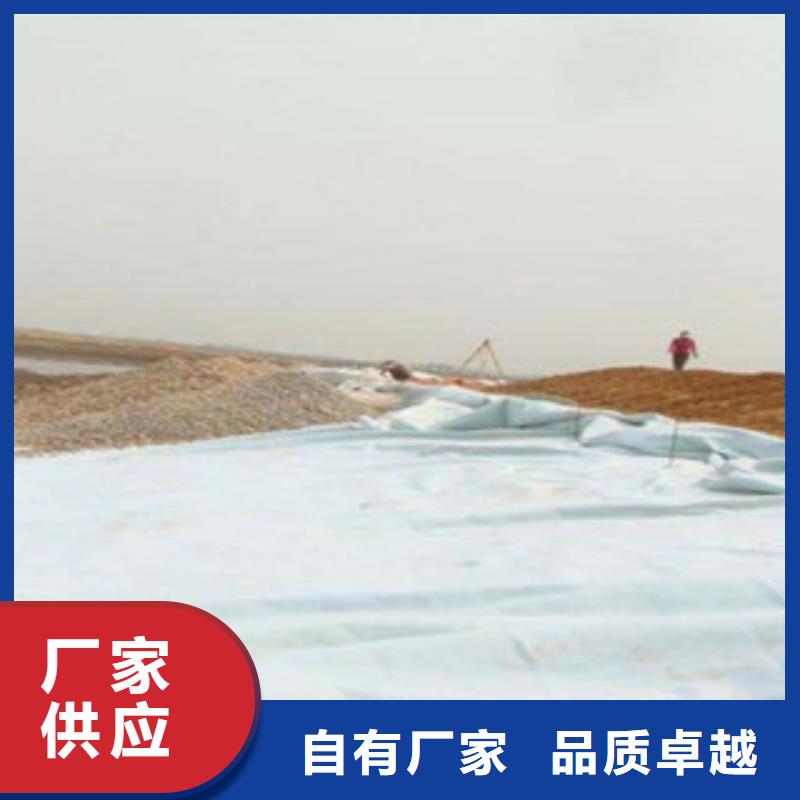 土工布玻纤土工格栅信誉有保证