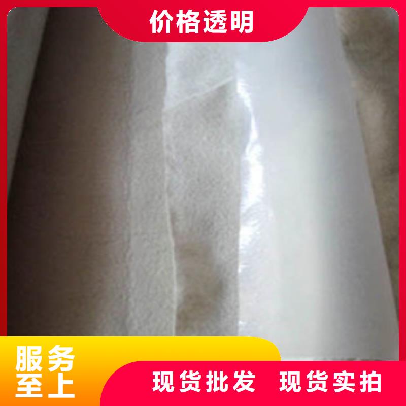 土工布玻纤土工格栅信誉有保证