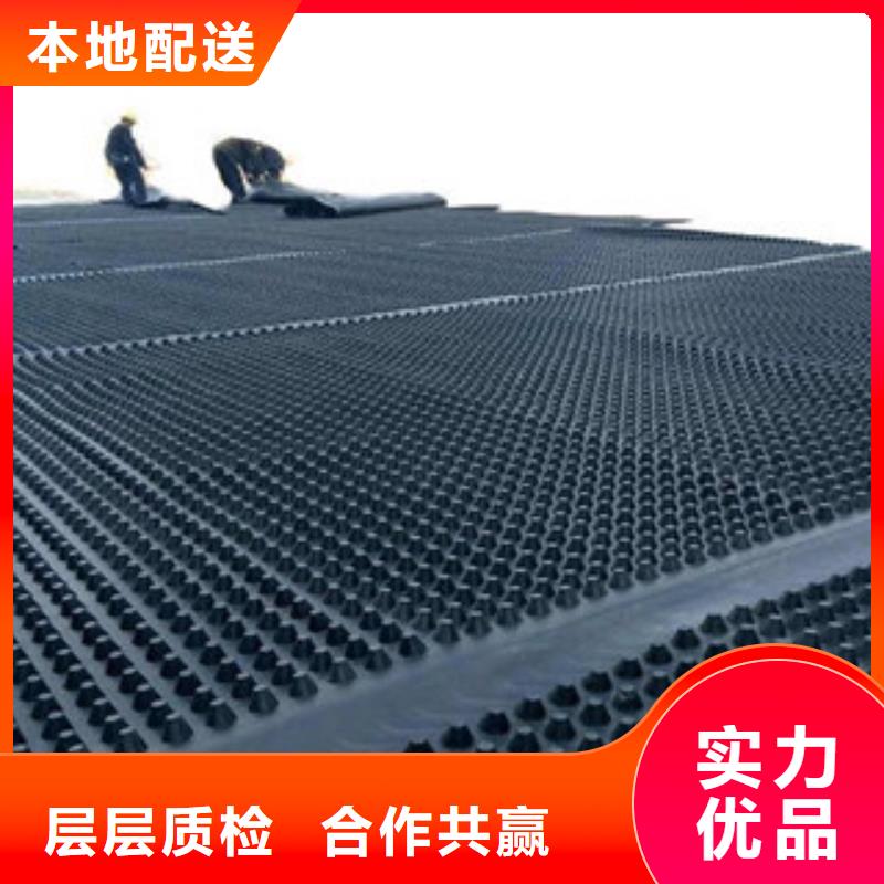 塑料排水板,高强度土工网实力派厂家