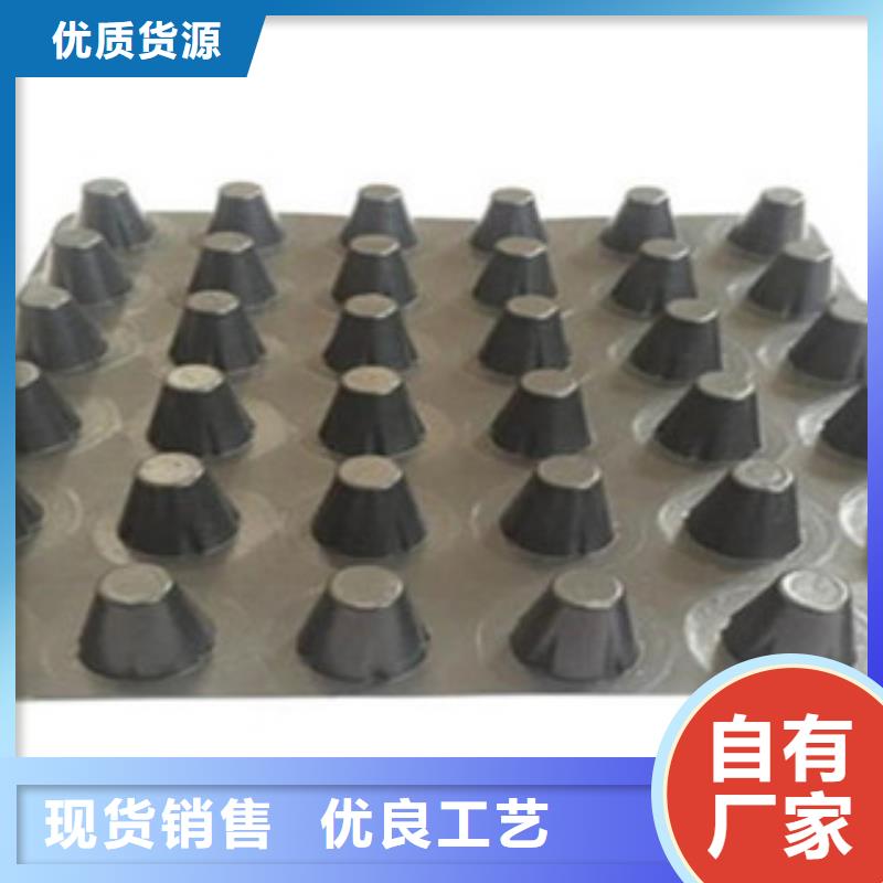 塑料排水板,玻纤土工格栅交货准时