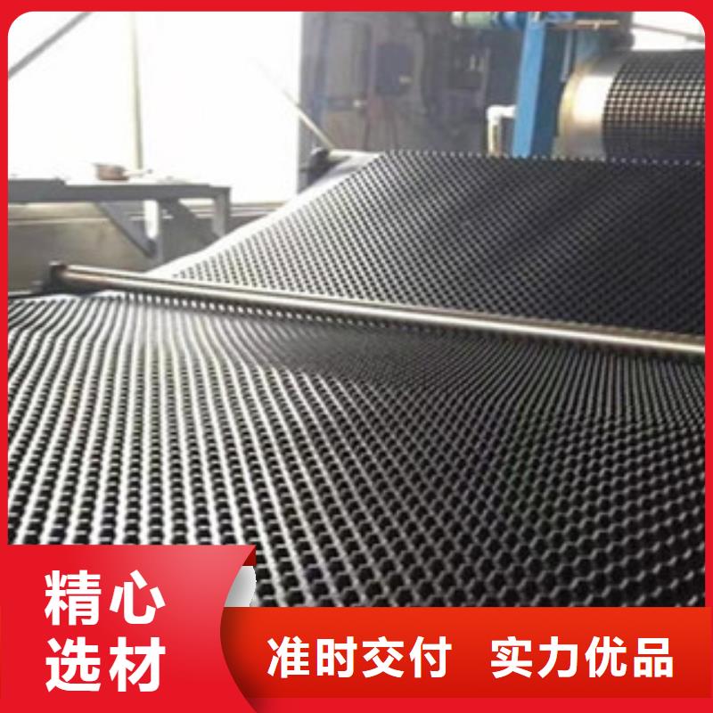 塑料排水板,玻纤土工格栅交货准时