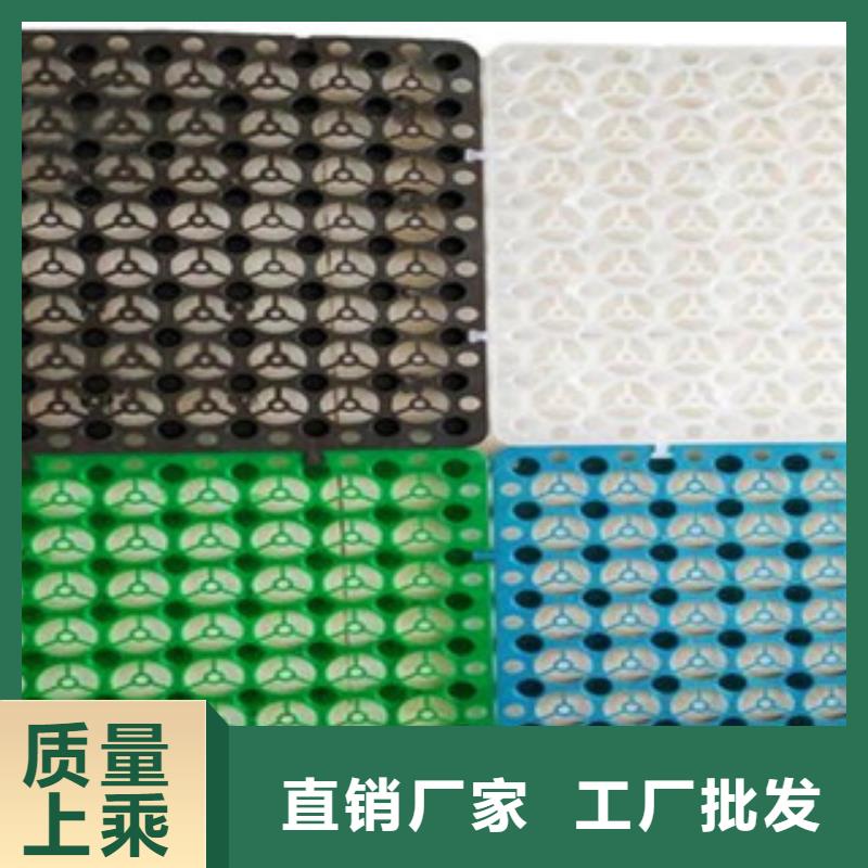 塑料排水板玻纤土工格栅核心技术