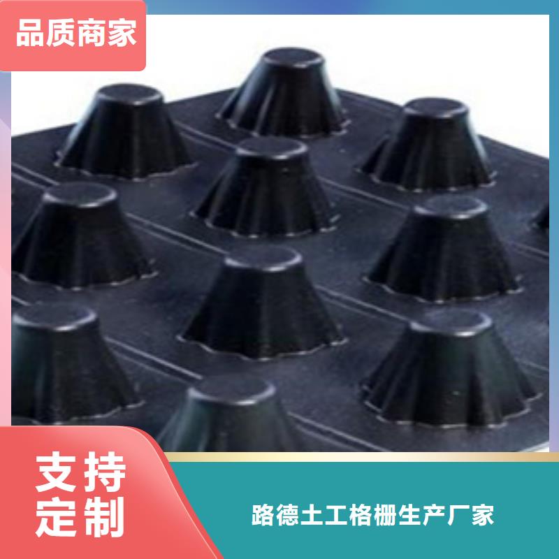 塑料排水板塑料土工格栅制造厂家