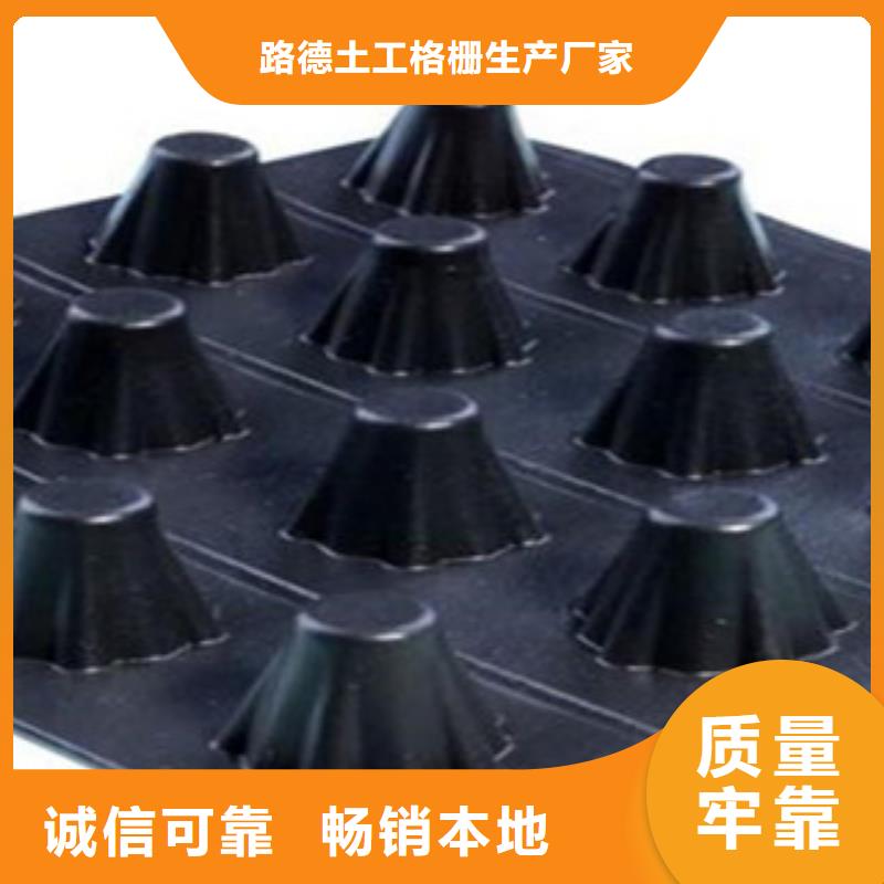 塑料排水板玻纤土工格栅核心技术