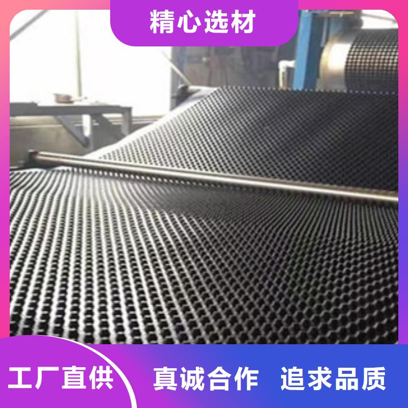 塑料排水板玻纤土工格栅核心技术