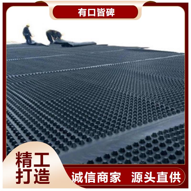 塑料排水板,玻纤土工格栅交货准时