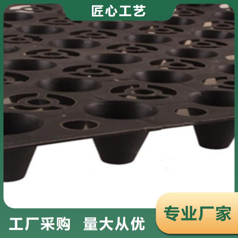 塑料排水板玻纤土工格栅核心技术