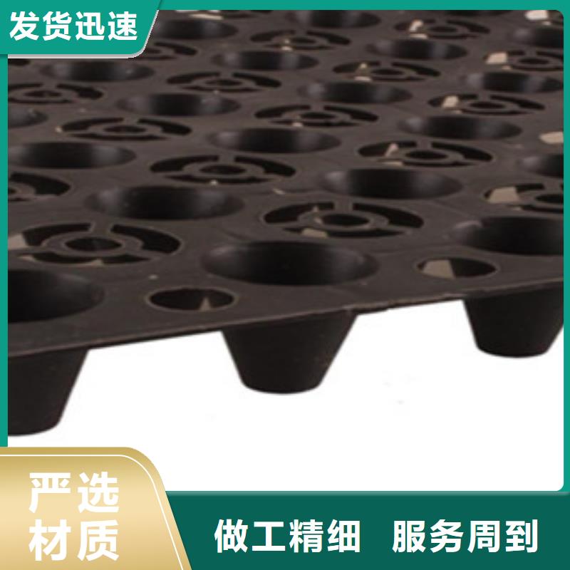 塑料排水板-防裂贴抗裂贴从源头保证品质