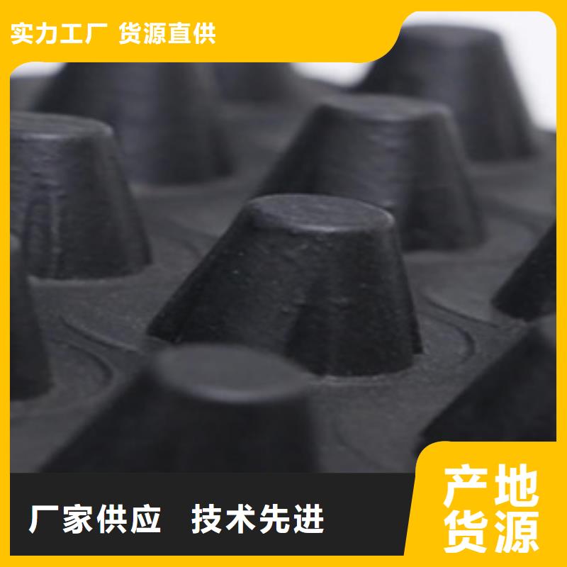 塑料排水板塑料土工格栅制造厂家