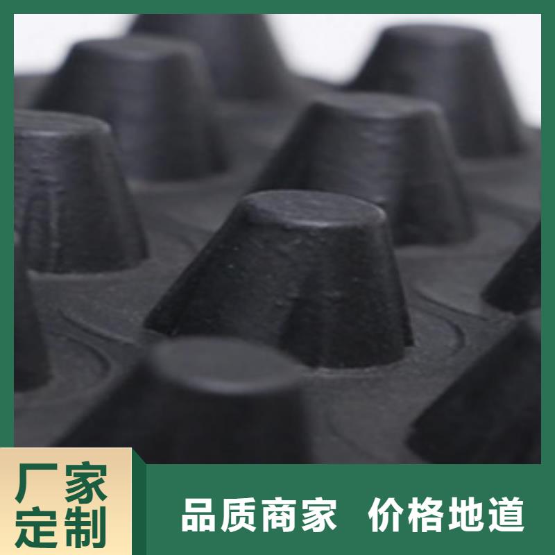 塑料排水板,高强度土工网实力派厂家