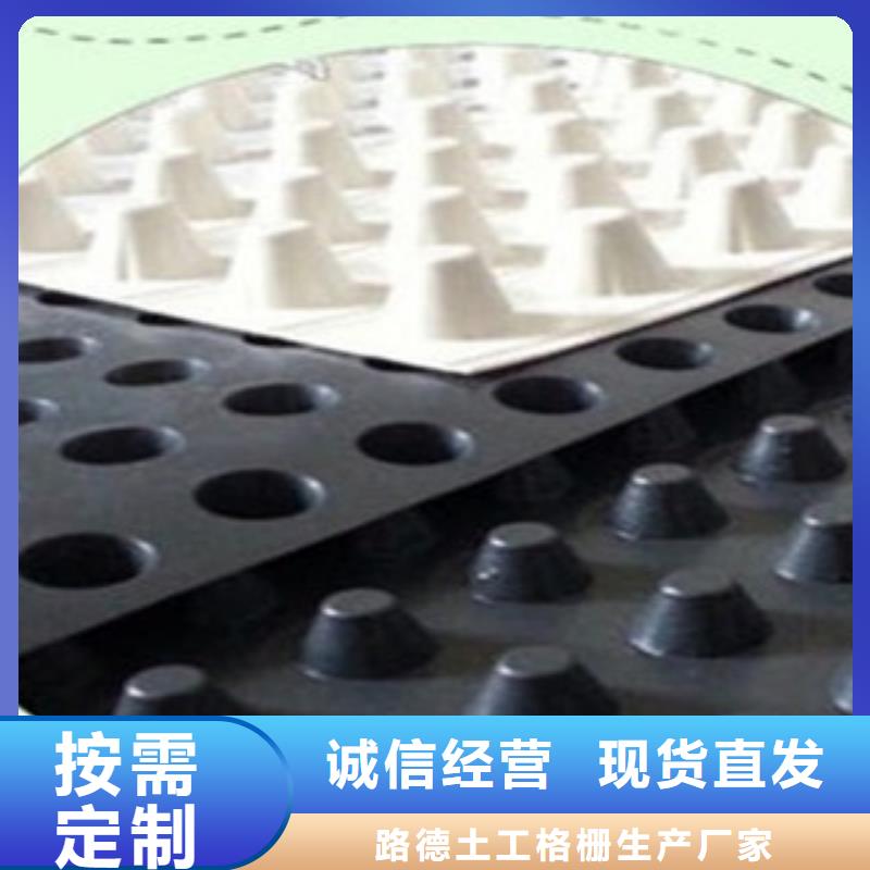 塑料排水板塑料土工格栅制造厂家
