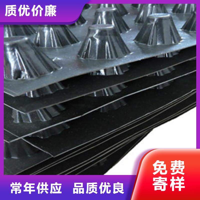 塑料排水板塑料土工格栅制造厂家