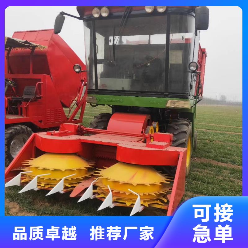 青储机杜宾犬诚信经营现货现发